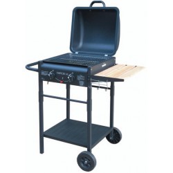 BARBECUE A GAS CON PIETRA LAVICA MOD. ER8203N