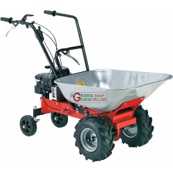 MOTOCARRIOLA A SCOPPIO EUROSYSTEM CARRY 450 BRIGGS E STRATTON