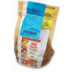 PATATE DA SEME MINI TUBERI SPUNTA KG 2,5