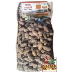 PATATE DA SEME MINI TUBERI SPUNTA SACCHETTO DA 200 BUCHE