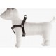 PETTORINA REGOLABILE PER CANI SPEEDY IN NYLON MM. 15 TAGLIA M