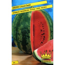 SEMI DI ANGURIA CRIMSON TONDA SWEET WATERMELON WASSERMELOLE