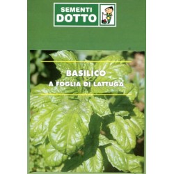 SEMI DI BASILICO FOGLIA LATTUGA DA GR.500