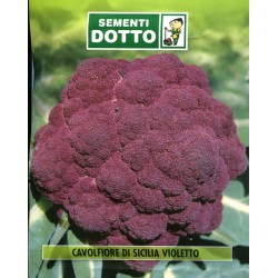 SEMI DI CAVOLFIORE DI SICILIA VIOLETTO