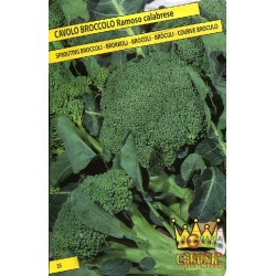 SEMI DI CAVOLO BROCCOLO RAMOSO CALABRESE