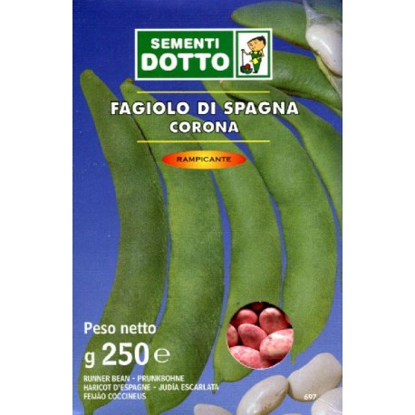 SEMI DI FAGIOLO RAMPICANTE BIANCO DI SPAGNA GR. 250