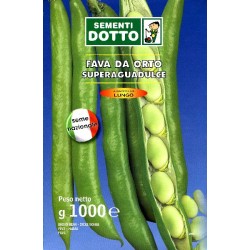 SEMI DI FAVA SUPERAGUADULCE BACCELLO LUNGO KG. 1