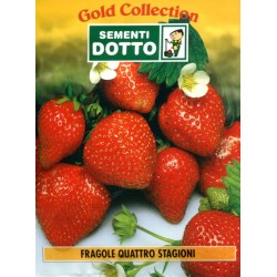 SEMI DI FRAGOLE QUATTRO STAGIONI RIFIORENTI