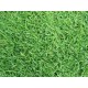 SEMI DI GRAMIGNONE PER PRATO CARPET GRASS GR. 500