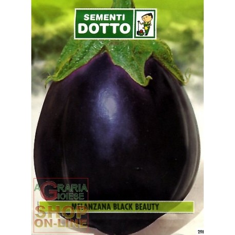 SEMI DI MELENZANA OVALE NERA BLACK BEAUTY