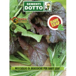 SEMI DI MUSCUGLIO BRASSICHE PER BABY LEAF