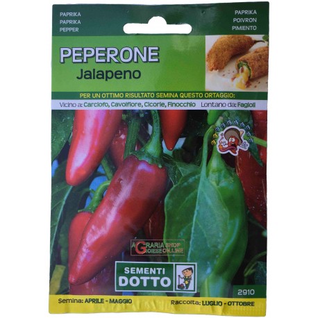 SEMI DI PEPERONE JALAPENO SEMENTI DOTTO