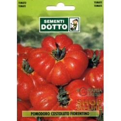 SEMI DI POMODORO PER INSALATA COSTOLUTO FIORENTINO