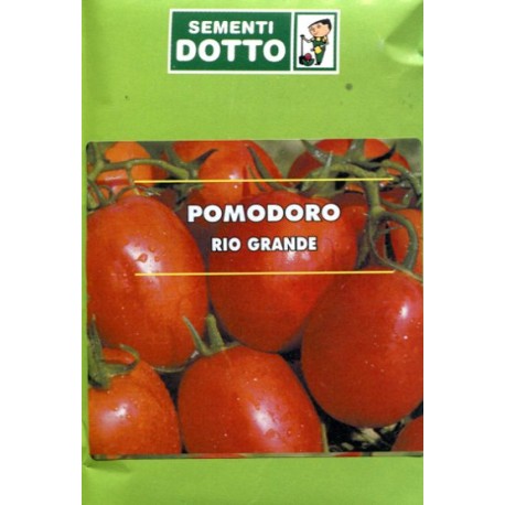 SEMI DI POMODORO RIO GRANDE ACCIAIOSO PER CONSERVE GR. 50