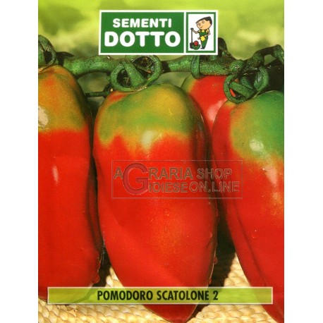 SEMI DI POMODORO SCATOLONE 2