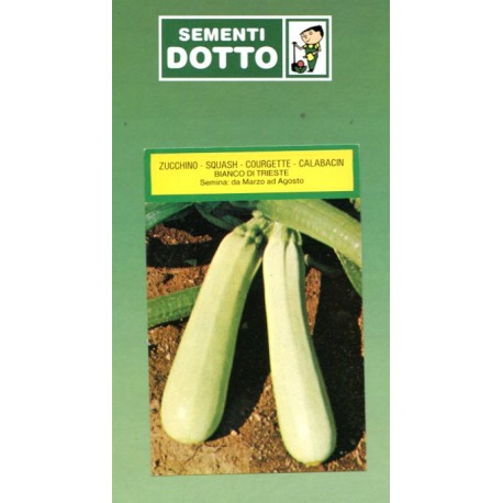 SEMI DI ZUCCHINO BIANCO TRIESTE GR. 500