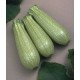 SEMI DI ZUCCHINO IBRIDO CLARITA F1 GR. 20