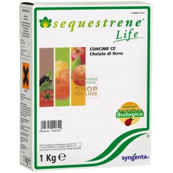 SYNGENTA SEQUESTRENE LIFE CHELATO DI FERRO KG. 1