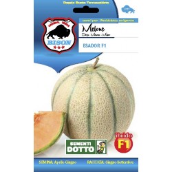 BISON SEMI DI MELONE ESADOR IBRIDO F1