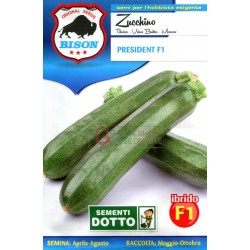 BISON SEMI DI ZUCCHINO PRESIDENT IBRIDO F1