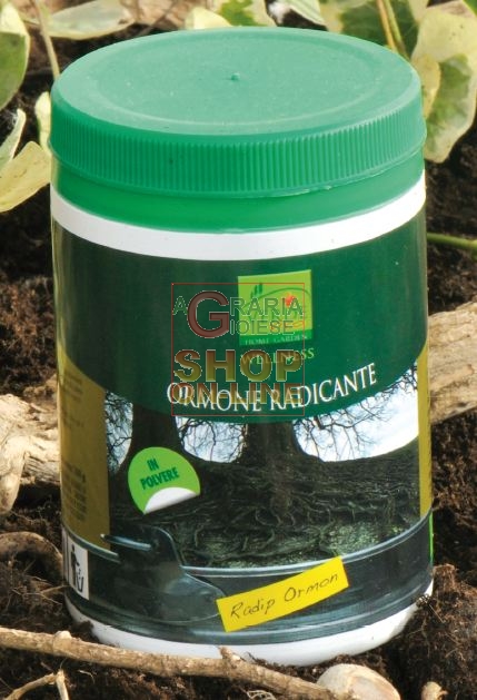 Acquista VERDE VIVO RAPID ORMON ORMONE RADICANTE