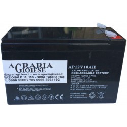 BATTERIA PER POMPA RICARICABILE 12 VOLT 10Ah