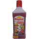 BAYSOL CONCIME LIQUIDO PER NUTRIMENTO PIANTE DA FIORE ML. 500