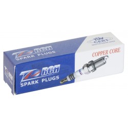 CANDELA 19C PER MOTOSEGHE E DECESPUGLIATORI TORCH L6TC BPM6A