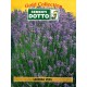 DOTTO BUSTE SEMI DI LAVANDA VERA