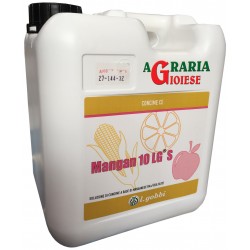 GOBBI MANGAN 10 LG S CONCIME BIOLOGICO A BASE DI MANGANESE KG. 6