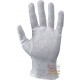 GUANTO COTONE ECONOMICO BIANCO LATTE GR  17 19  TG  6 7 9