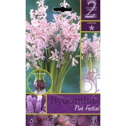 BULBI DI FIORE HYACINTHUS PINK FESTIVAL N. 2