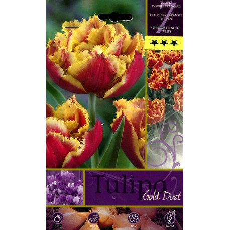 BULBI DI FIORE TULIPA GOLD DUST N. 7