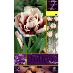 BULBI DI FIORE TULIPA HORIZON N. 7