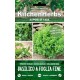 KITCHEN HERBS SEMI DI BASILICO A FOGLIA FINE