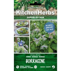 KITCHEN HERBS SEMI DI BORRAGINE