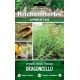 KITCHEN HERBS SEMI DI DRAGONCELLO