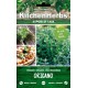 KITCHEN HERBS SEMI DI ORIGANO COMUNE