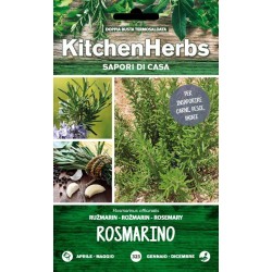 KITCHEN HERBS SEMI DI ROSMARINO