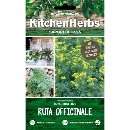 KITCHEN HERBS SEMI DI RUTA OFFICINALE