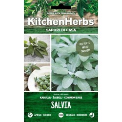 KITCHEN HERBS SEMI DI SALVIA OFFICINALE