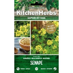 KITCHEN HERBS SEMI DI SENAPE