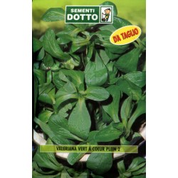 BUSTE DOTTO SEMI DI VALERIANA VERT A COEUR PLEIN