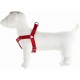 PETTORINA REGOLABILE PER CANI SPEEDY IN NYLON MM. 10 TAGLIA XS ROSSA