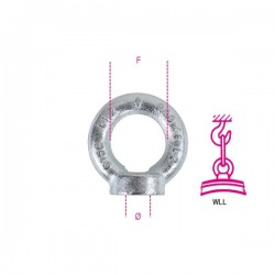 Robur Golfari per sollevamento femmina DIN582 C15E zincati Z M10