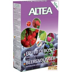 ALTEA FRUTTI DI BOSCO kg. 1,5