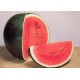 SEMI DI ANGURIA SUGAR BABY TONDA SWEET WATERMELON WASSERMELOLE