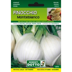 SEMI DI FINOCCHIO MONTEBIANCO