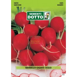 SEMI DI RAVANELLO GIAGANTE SICULO