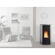 STUFA PELLET KW.20,3 RAFFAELLA IDRO ARGENTO